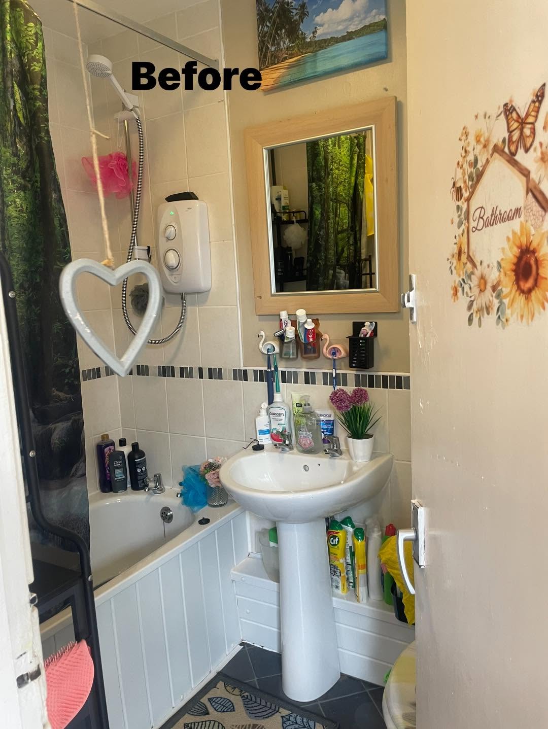 Bathroom before our visit
